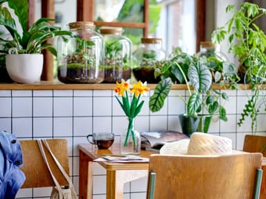 LEGO Botanicals Påskeliljer 40747