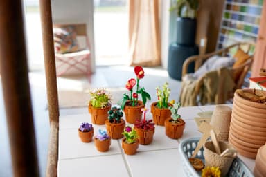 LEGO Botanicals Miniatyrplanter 10329