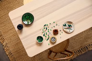 LEGO Botanicals Lykkebambus 10344