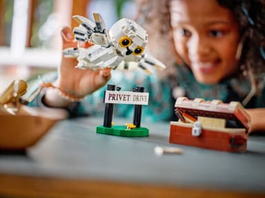 LEGO Harry Potter Hedvig i Hekkveien 4 76425