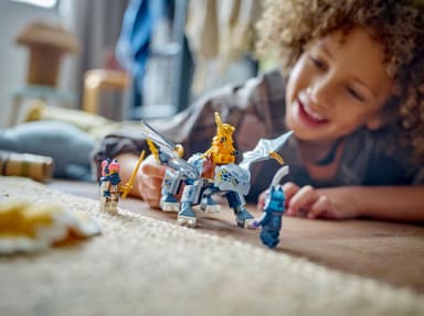 LEGO Ninjago Den unge dragen Riyu 71810