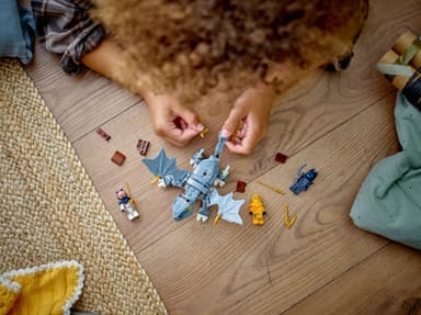 LEGO Ninjago Den unge dragen Riyu 71810