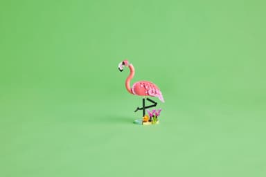 LEGO Creator Ville dyr: Rosa flamingo 31170