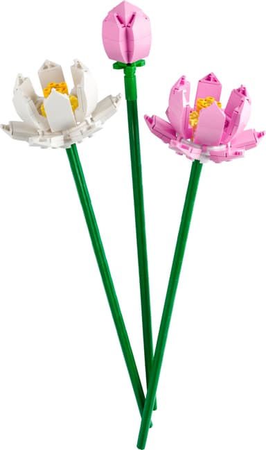 LEGO Botanicals Lotusblomster 40647