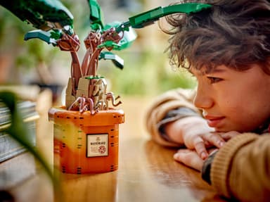 LEGO Harry Potter Alruneplante 76433