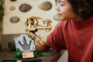 LEGO Jurassic World Dinosaurfossiler: T. rex-hodeskalle 76964
