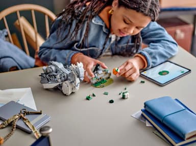 LEGO Harry Potter Bukknebb 76427