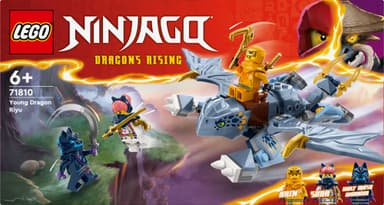 LEGO Ninjago Den unge dragen Riyu 71810