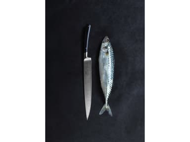Sabatier Edonist Fillet knife Steel/Black