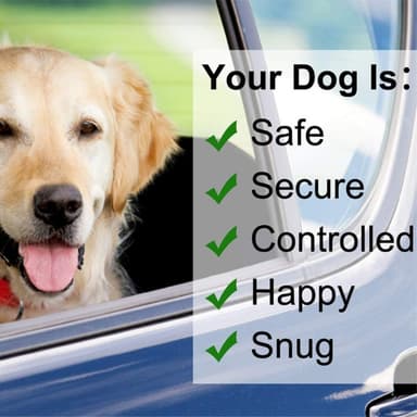 Bilhundebelte Justerbar hundesele Sikkerhetsbelte Kjæledyrkobling
