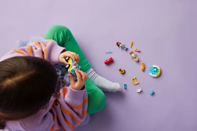 LEGO Friends Hundepleie og bil 42635