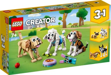 LEGO Creator Herlige hunder 31137