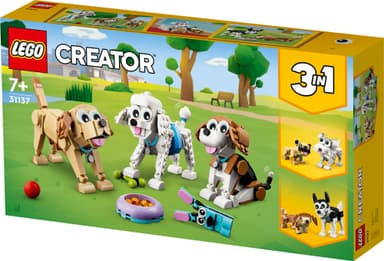 LEGO Creator Herlige hunder 31137