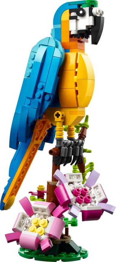 LEGO Creator Eksotisk papegøye 31136