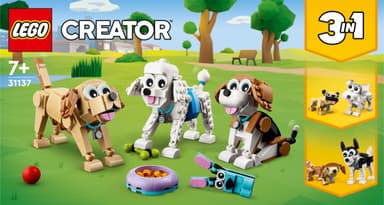 LEGO Creator Herlige hunder 31137