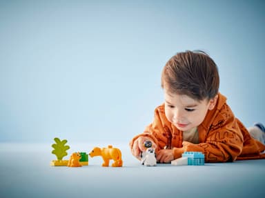 LEGO DUPLO Town Villdyrfamilier: Pingviner og løver 10442