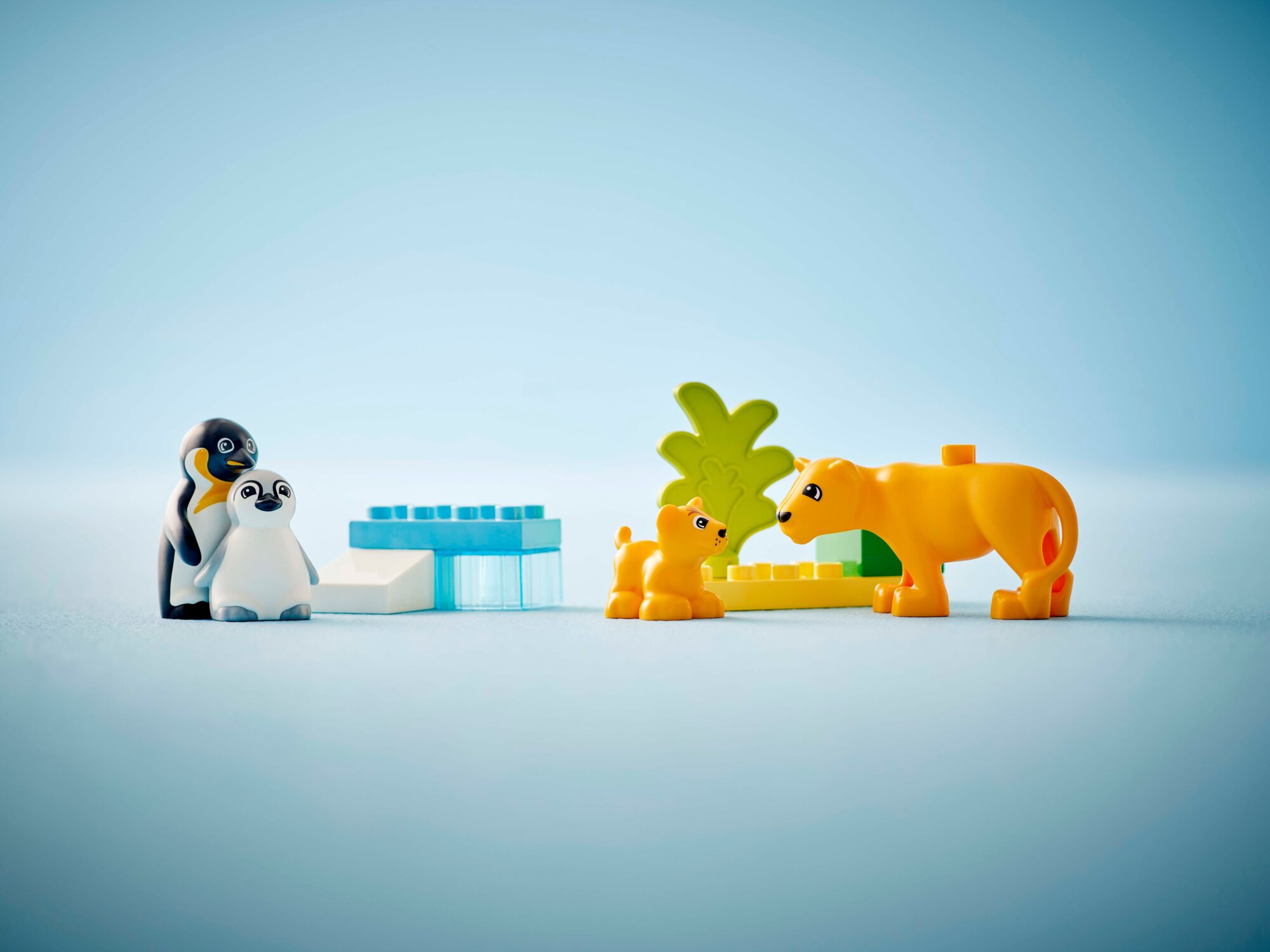 LEGO DUPLO Town Villdyrfamilier: Pingviner og løver 10442