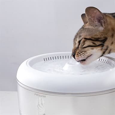 Petsuper vannfontene for kjæledyr 2,5 liter med smart filtrering - Hvit