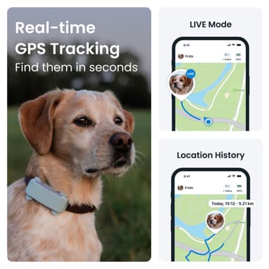 Tractive Dog 6 GPS sporer (mint)