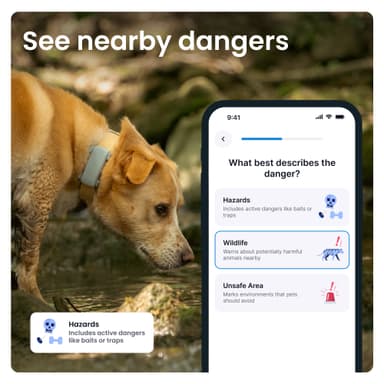 Tractive Dog 6 GPS sporer (mint)