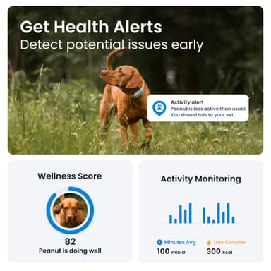 Tractive Dog 6 GPS sporer (mint)