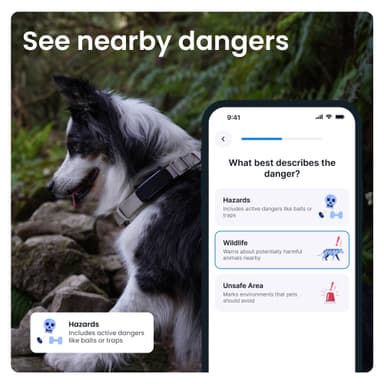Tractive Dog 6 GPS sporer (sort)