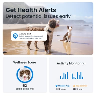 Tractive Dog 6 GPS sporer (sort)