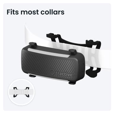 Tractive Dog 6 GPS sporer (sort)