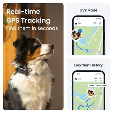 Tractive Dog 6 GPS sporer (sort)