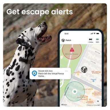 Tractive Dog 6 GPS sporer (sort)