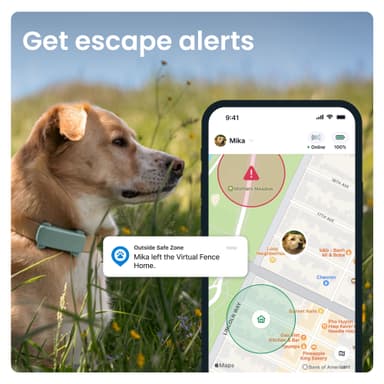 Tractive Dog 6 GPS sporer (mint)
