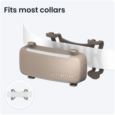 Tractive Dog 6 GPS sporer (brun)