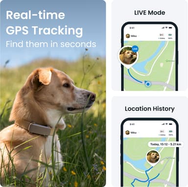 Tractive Dog 6 GPS sporer (brun)