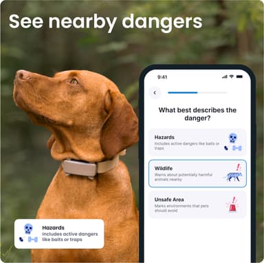 Tractive Dog 6 GPS sporer (brun)