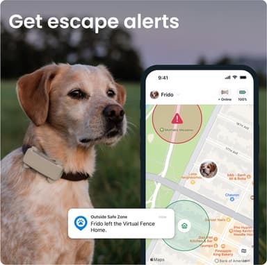 Tractive Dog 6 GPS sporer (brun)