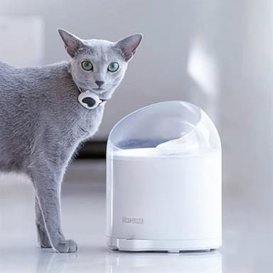 Catlink Pure 2 vannfontene for kjæledyr 2,6 liter