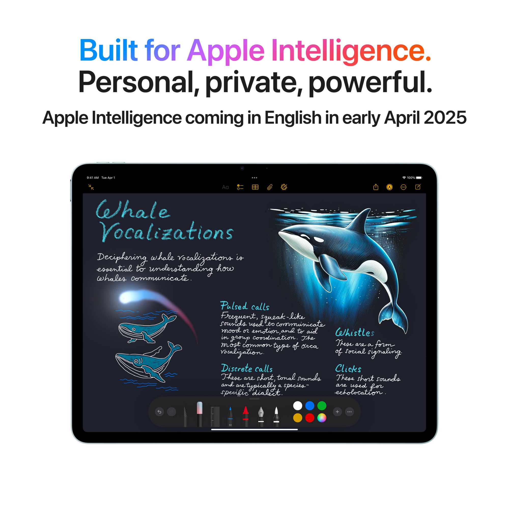 iPad Air 13 M3 1TB WiFi + Cellular (Stellargrå)