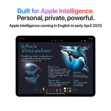 iPad Air 13 M3 256GB WiFi + Cellular (Blå)