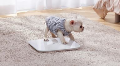 Xiaomi Mi Smart Scale 2, Hvit