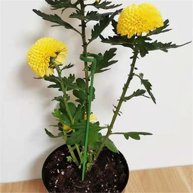 3stk 58cm plantestøtteblomsterplante Enkeltstilket glassfiberstøttestang