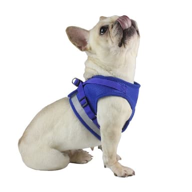 Reflekterende hundesele for liten middels hund - svart/L
