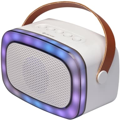 Denver BTM-610 BT-høyttaler med mikrofon og karaokefunksjon