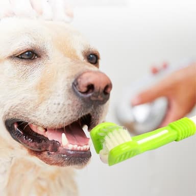 Pets Dog Cat 3-hodet tannbørste Munnpleie Tannrengjøring