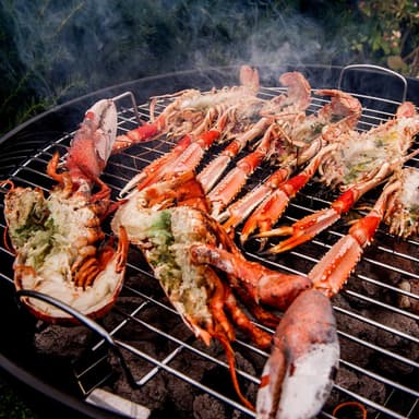 ((Kullgrill Freda