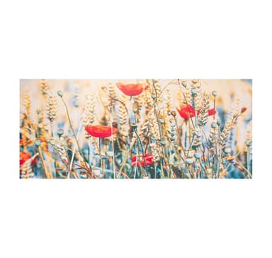 Veggkunst BILDELAND 50x120cm, trykk