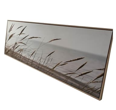 Veggkunst WALLY 50x140cm, siv