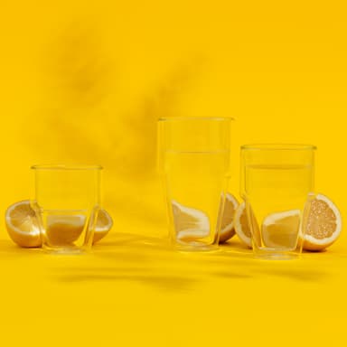 Bodum 2 stk termoglass med doble vegger RIGI 0.25 L