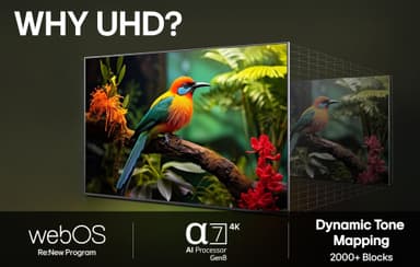 LG 65" UA 75 4K UHD TV (2025)