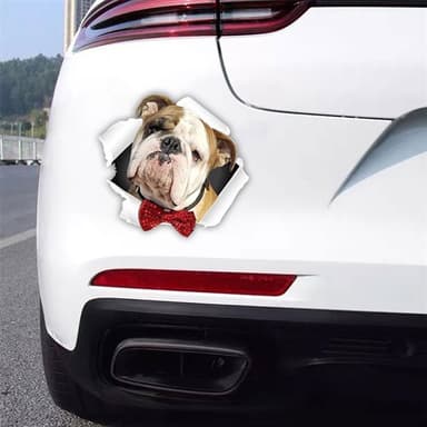 Bildekal Engelsk Bulldogg