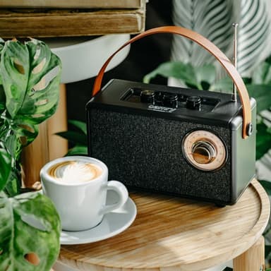 FM-radio med Bluetooth og TWS-funksjon - svart